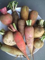 有機野菜のおいしさを！