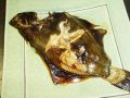 料理メニュー写真&nbsp;カレイ／あいなめ