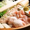 宮崎地鶏 鹿児島黒豚 九州料理 やどんげ 渋谷店のおすすめポイント2
