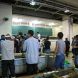 魚は新長崎漁港と三崎から