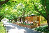 セラン SELAN 青山の雰囲気3