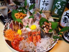 どらもみじ レッドのコース写真