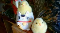 かわいい鳥さんがお出迎え