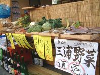 三浦の朝獲れ野菜市場開催
