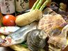 北の魚菜 庄屋 しょうやのおすすめポイント1