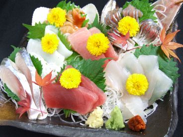 酒と魚 千代の追風 ちよのおいかぜ 蒲田のおすすめ料理1