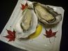 はまき 旬菜旬魚のおすすめポイント1