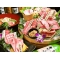 桜咲 焼肉 名駅の写真