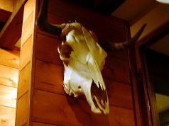京松 グリル 肉ビストロの写真