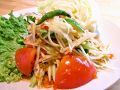 料理メニュー写真&nbsp;ソムタムタイ