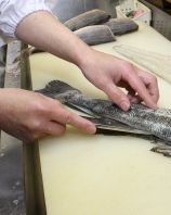 新鮮な魚をどうぞ♪