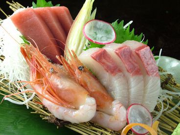 だるまさん 居酒屋のおすすめ料理1