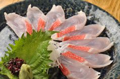 料理メニュー写真 金目鯛≪神奈川県 三崎≫