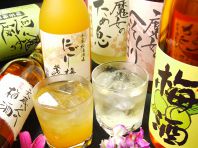 期間限定レア果実酒！