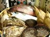 うみまる 町屋のおすすめポイント1