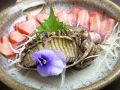 つくし 和食のおすすめ料理1