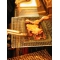 銀次郎 炭火焼の写真