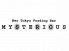 ミステリアス MYSTERIOUS 新宿店のロゴ