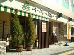 栃木　千年の森の写真