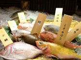 魚やでん ウオヤ デン UOYADENのおすすめ料理2
