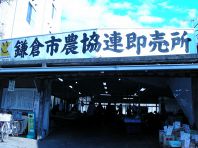 鎌倉の市場まで買出し♪