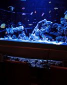 人気のソファ個室のご予約はお早めに!
