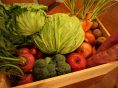 心を込めて作られた農家の野菜たち