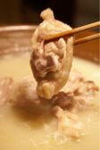 かこみや 福島店 博多水炊き もつ鍋の雰囲気