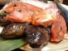 波動 宇都宮市 本町のおすすめポイント2
