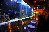 熱帯魚達が泳ぐ幻想的な水槽を目の前に