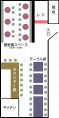 レイアウトイメージ