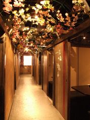 蝶の花あそび 難波店の雰囲気1