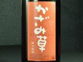 【藤沢梅酒】　かざみ草