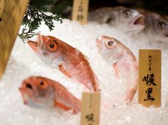 海仙楽 エビス EBISUの特集写真