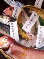 料理メニュー写真&nbsp;明石をメインに全国から鮮魚を仕入れております！！　￥４５０～