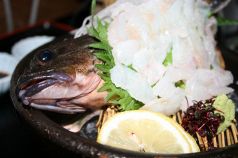 料理メニュー写真 活赤がしら姿造り