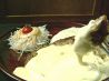 びっくりドンキー 生田川インター店のおすすめポイント2