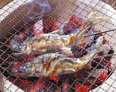 料理メニュー写真 本日の焼き魚