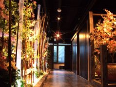 個室 総本家 竹取花めぐり 西梅田店