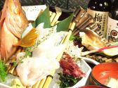 炉端かば 東京新橋3号店のおすすめ料理3