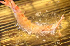 串かつ料理 活のおすすめ料理1