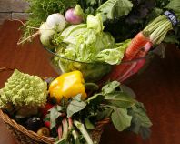 地野菜で体の中から健康に