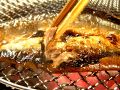 料理メニュー写真&nbsp;さんま（北海道）