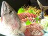 四季旬菜 魚家 びせんのおすすめポイント1