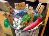 お魚たちがお出迎え!