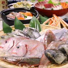 魚鮮水産 五反田西口店の写真