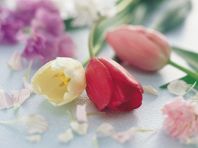 大事な人に花束サービス