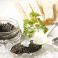 料理メニュー写真&nbsp;ONE SPOON キャビア（10ｇ）3000円（20ｇ）5000円