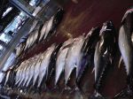 浜の漁師居酒屋 こちらまる特漁業部  駅前AKビル店