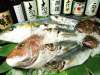宗平 湘南台店 長崎五島直送居酒屋の写真